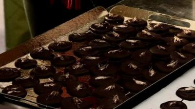 Chocolates with crickets