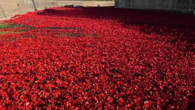 Tower of London ceramic poppies