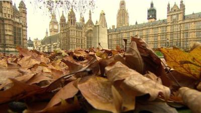 Autumn leaves and Houses of Parliament