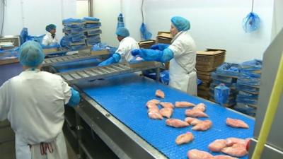 Processing chicken meat at Euro Foods