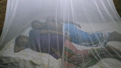 50% of those at risk now have access to mosquito nets