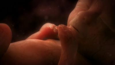 A graphicised picture of a baby in utero