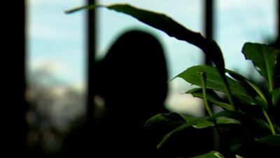 Shadowed image of blogger who calls herself Jean Hatchet (with green plant in foreground)