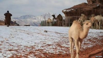 Snow-hit desert