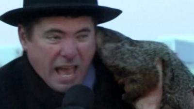 Jonathan Freund being bitten by Jimmy the groundhog