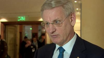 Former Swedish foreign minister Carl Bildt speaking to BBC at Munich Security Conference 2015