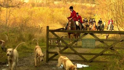 Fox hunt and hounds