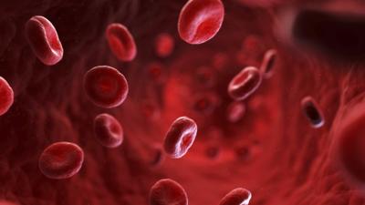 A computer generated image of red blood cells