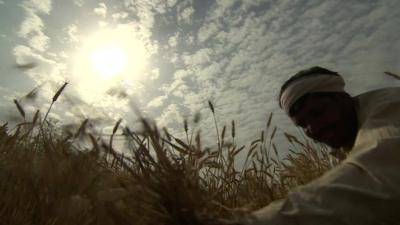 Bright sun in sky above Indian farmer harvesting crop