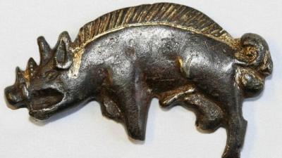 Boar badge