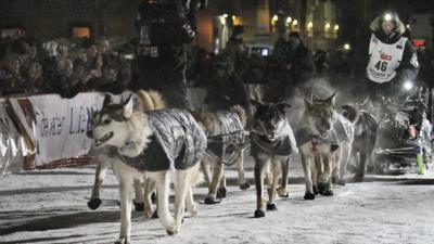 Sled race in Alaska