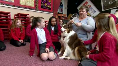 Minnie the dog in school