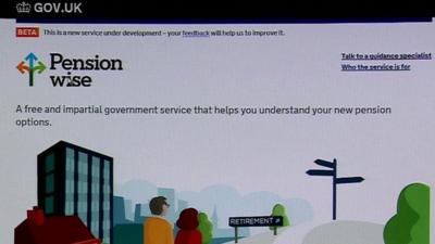 A shot of the government pensions advice webpage