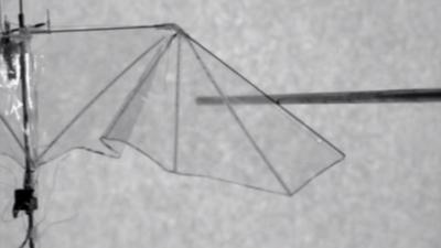 Flexible drone wing (c) Lentink Lab, Stanford University