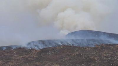 Wildfire burning