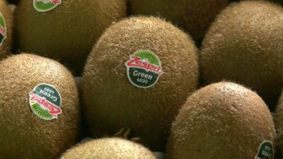 Kiwifruit