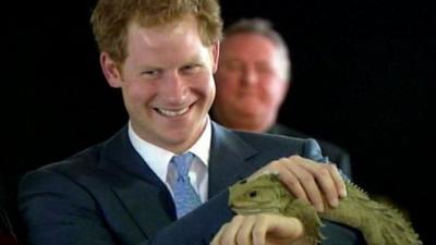 Prince Harry holds 100-year-old tuatara