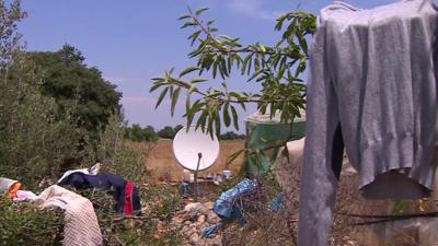 Clothes hanging from trees