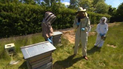 Bradford Beekeepers Association with schoolchildren