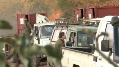 Convoy transporting rhinos