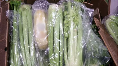 Parcels of methamphetamine were hidden among bunches of celery