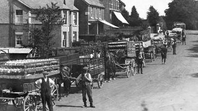 An archive black and white picture of a row of carts of strawberries