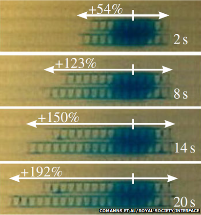 series of photos showing artificial skin transporting water