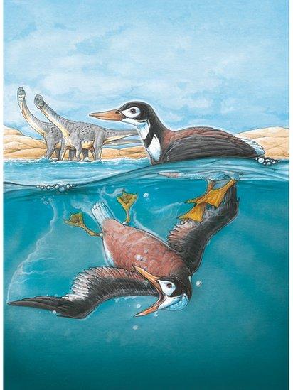 The bird lived at the end of the age of the dinosaurs