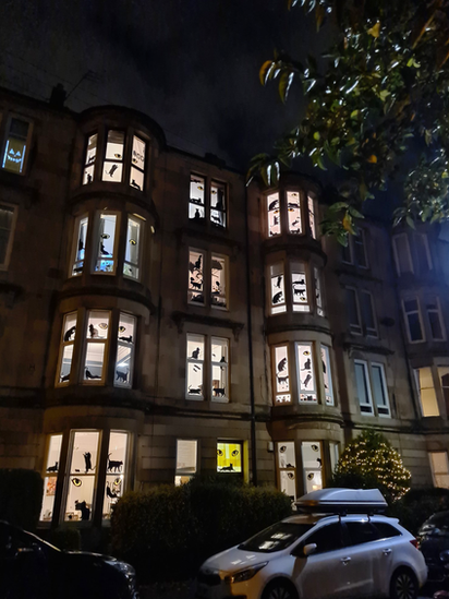 Halloween cats displays in Glasgow tenements