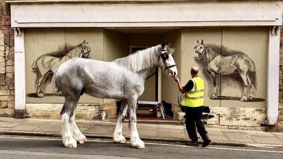 Grey shire horse with white legs stood in front of a boarded up shop with a drawing on either side of the door of a shire horse