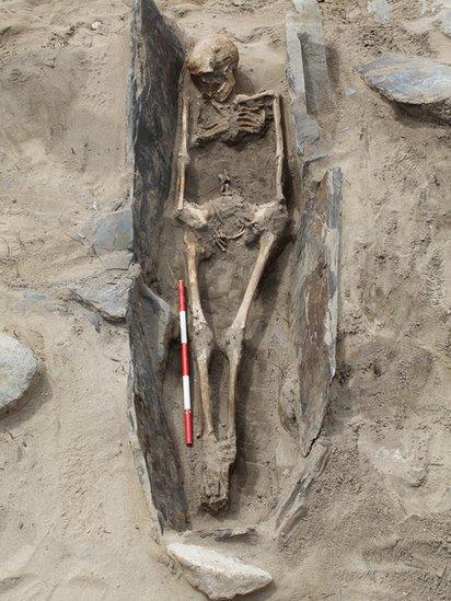 One of the skeletons at Whitseands Bay