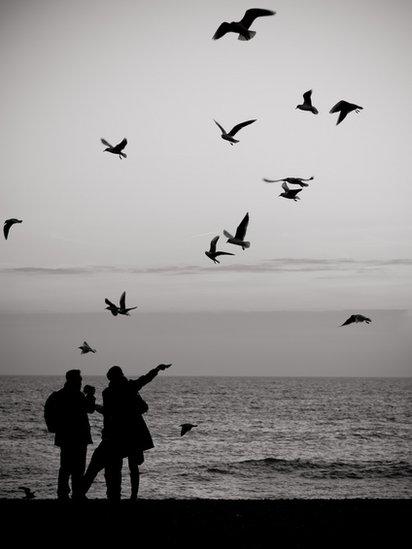 People feeding seagulls, Brighton, England