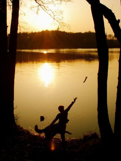 Throwing a stick in to a lake