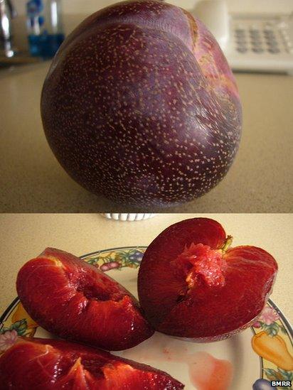 Pluots