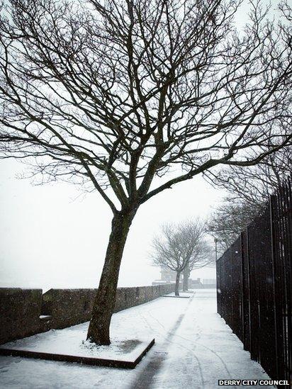 Tree on the walls