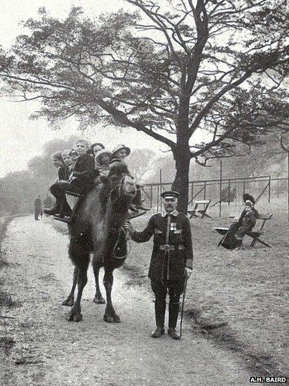 Camel ride at Edinburgh Zoo