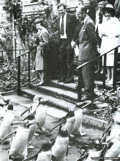 Queen Elizabeth II and the Duke of Edinburgh watching the penguins parade
