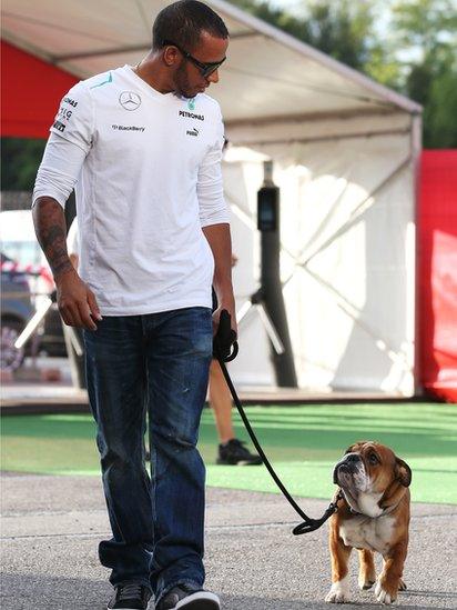 Lewis Hamilton and his new dog Roscoe