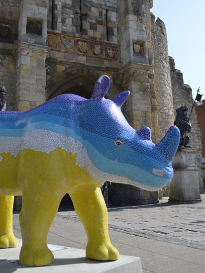 Rhino at bargate