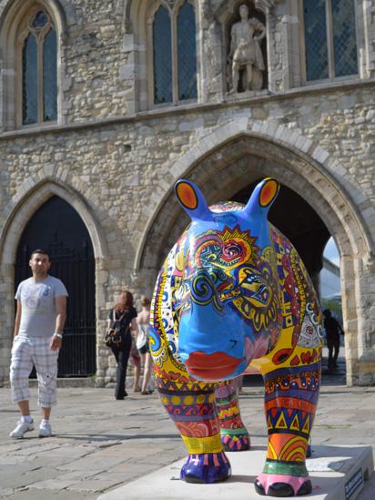 Rhino at Bargate