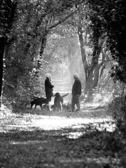 Dog walkers in Aberdare