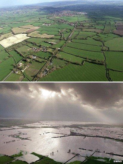 Somerset levels