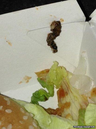 A photograph of the caterpillar found in a KFC burger