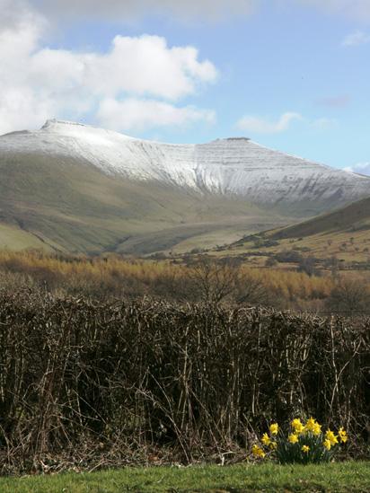 Pen-y-fan and Corn Ddu