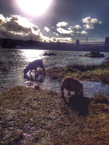 Britannia Bridge