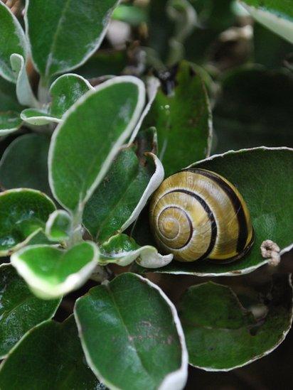 'Llonyddwch' gan Tanwen Haf