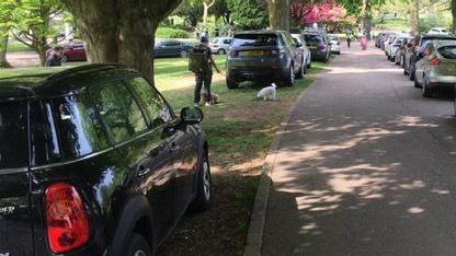 Cars parked in the park