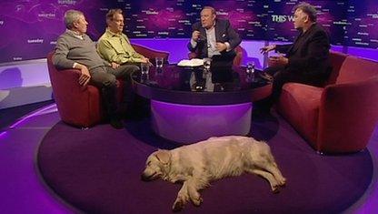 Alan Johnson, Michael Portillo, Andrew Neil and Stewart Lee with Molly the dog