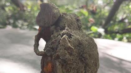 Grenade - looks like an elephant walking off