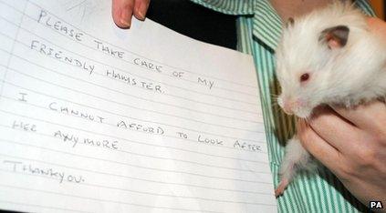 Snowball the abandoned hamster and the note left by her owner